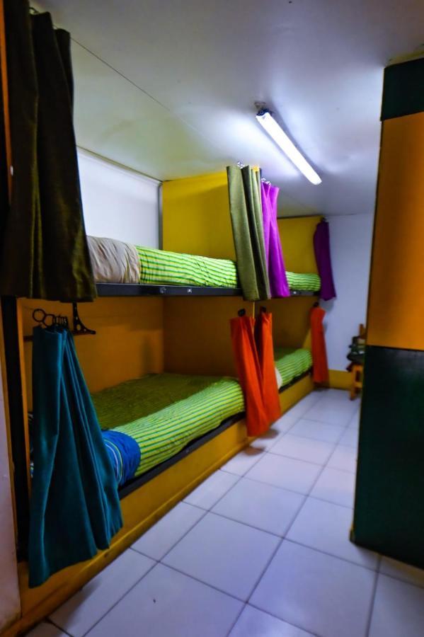 Gecko Hostel Pucón Extérieur photo