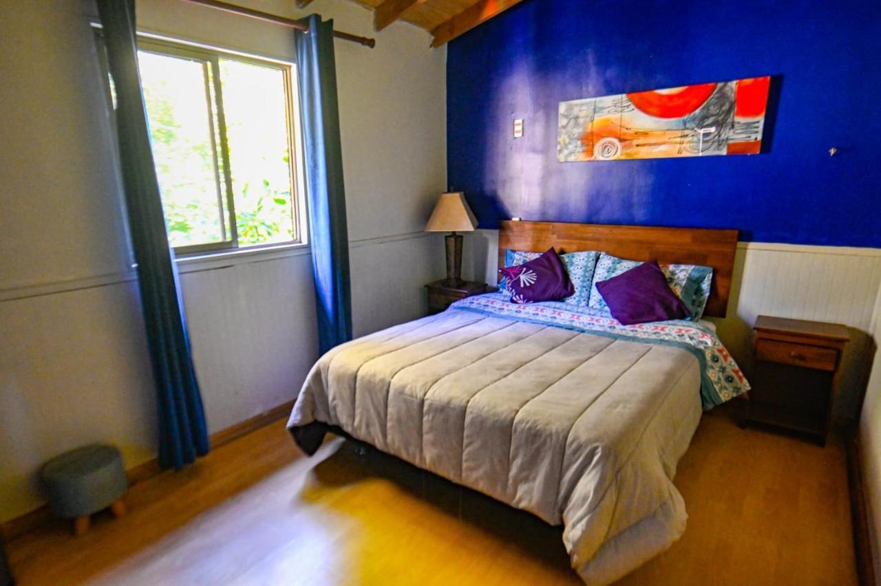 Gecko Hostel Pucón Extérieur photo