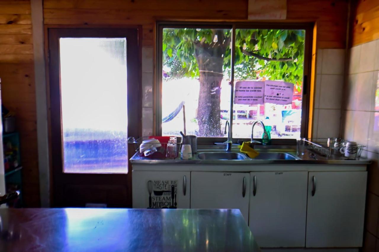 Gecko Hostel Pucón Extérieur photo