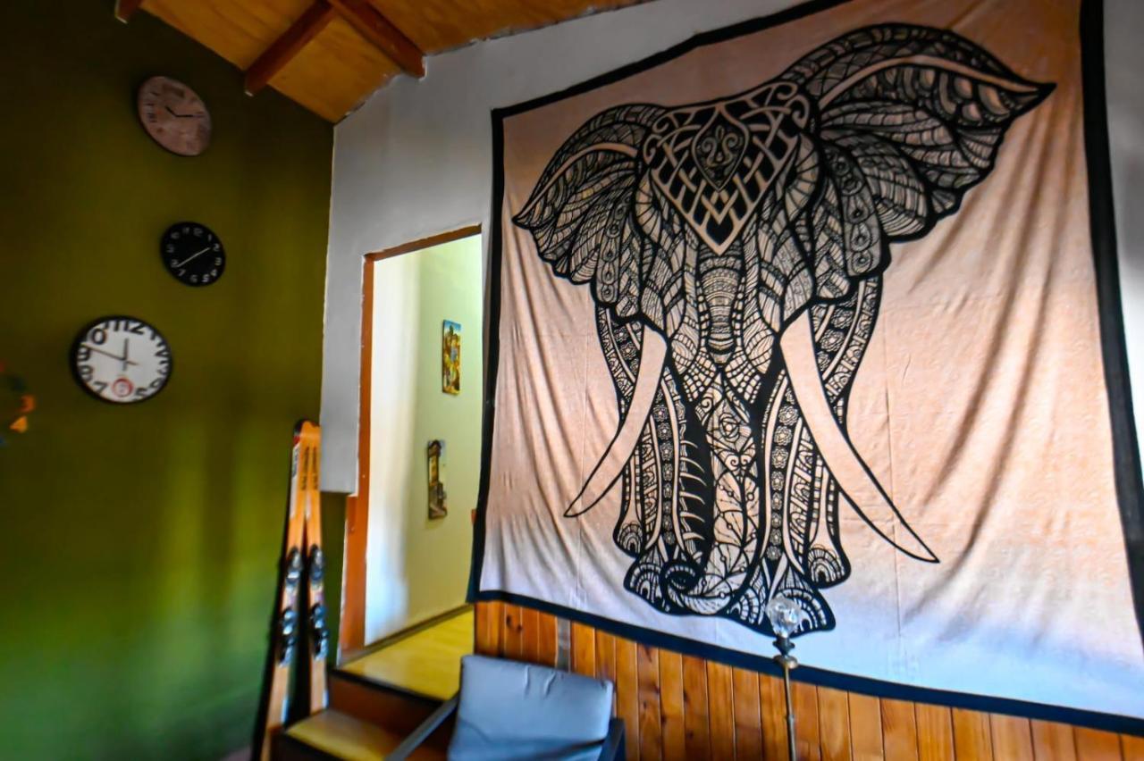 Gecko Hostel Pucón Extérieur photo