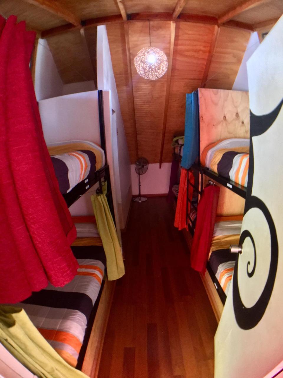 Gecko Hostel Pucón Extérieur photo